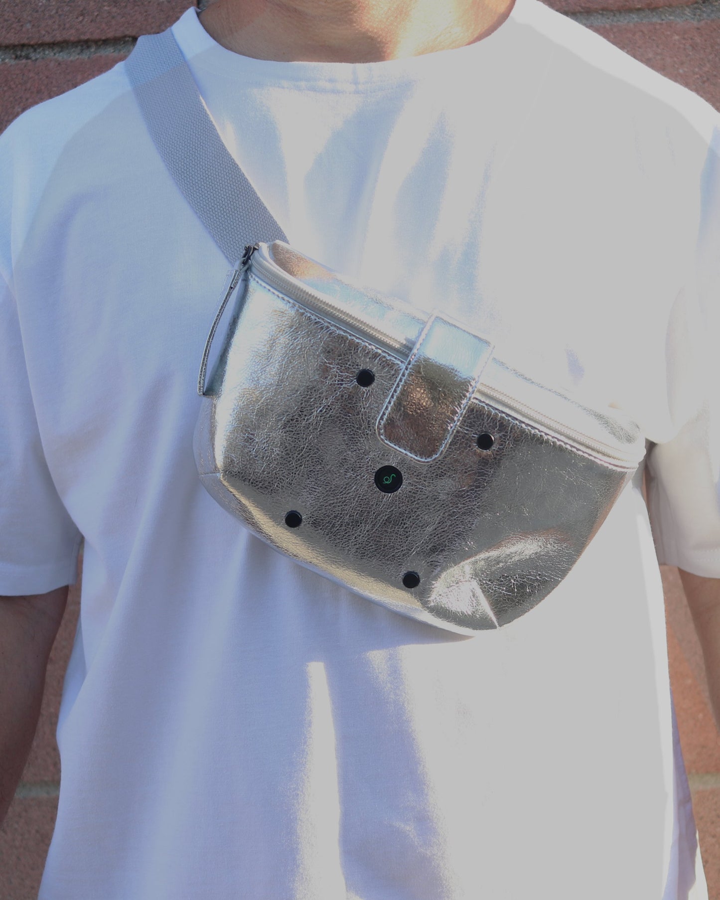 Everywhere Sanitizing UV Bag- Silver