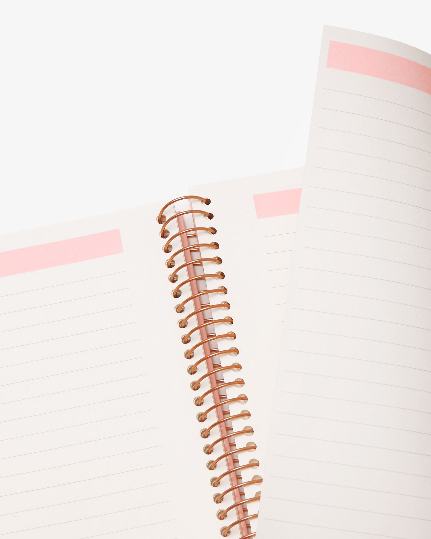 Spiral Notebook - Take Out